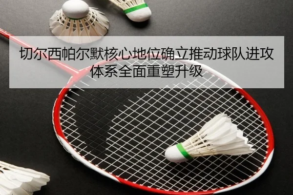 切尔西帕尔默核心地位确立推动球队进攻体系全面重塑升级