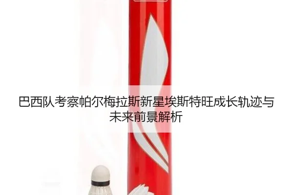 巴西队考察帕尔梅拉斯新星埃斯特旺成长轨迹与未来前景解析